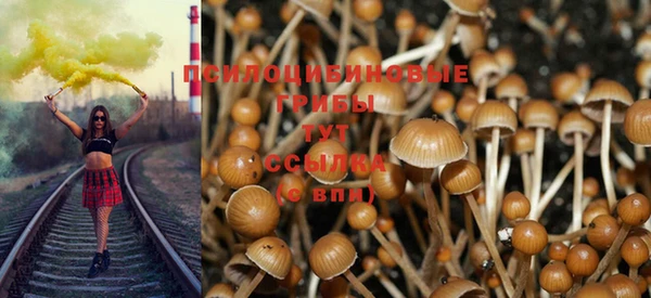 стафф Володарск